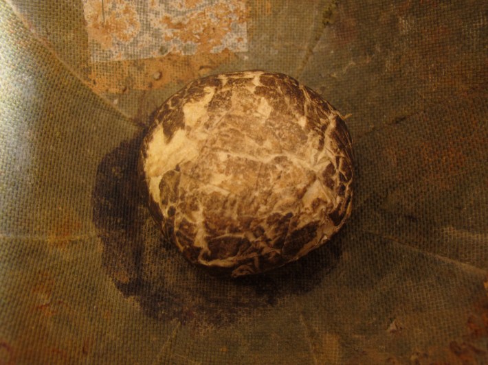 (Photo credit: Karen K. Ho)